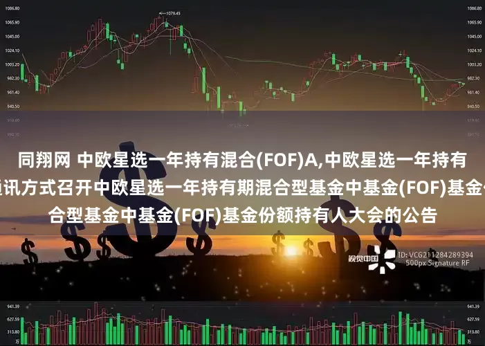 同翔网 中欧星选一年持有混合(FOF)A,中欧星选一年持有混合(FOF)C: 关于以通讯方式召开中欧星选一年持有期混合型基金中基金(FOF)基金份额持有人大会的公告
