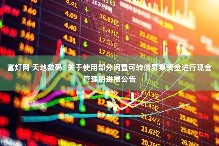 富灯网 天地数码: 关于使用部分闲置可转债募集资金进行现金管理的进展公告